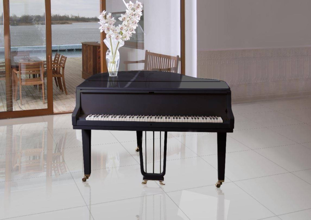 Интерьер Porcelanicos HDC (Порцеланикос HDC) Blanco Negro (Бланко Негро)