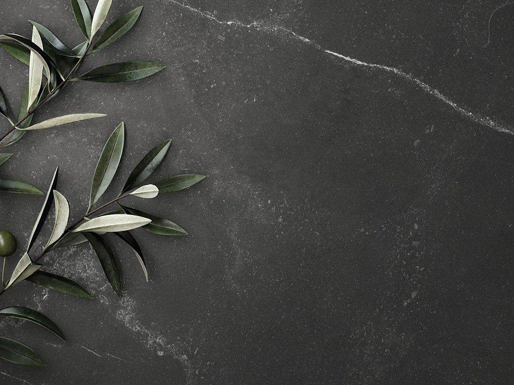 Интерьер Zodiac Ceramica (Зодиак Керамика) Forli (Форли)