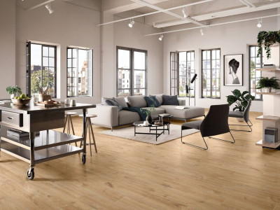 Villeroy&Boch (Виллерой & Бох) Oak Park (Оак Парк)