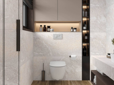 Laparet (Лапарет) Blaze Silver (Блэйз Силвер)