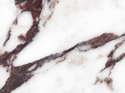 Ape Xlining Medicea Marble