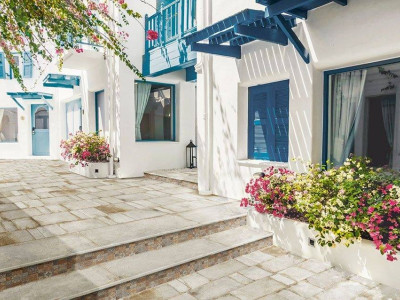 Natucer (Натусер) Anticato (Антикато)