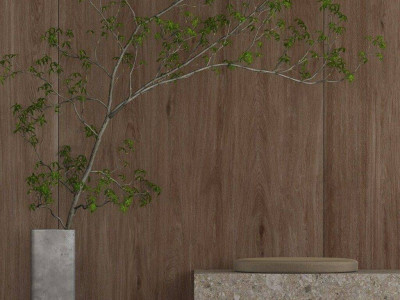 Laminam Rus (Ламинам Рус) Zen Wood
