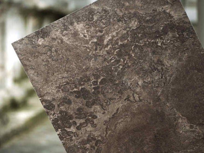 Seranit (Серанит) Fossil (Фоссил)