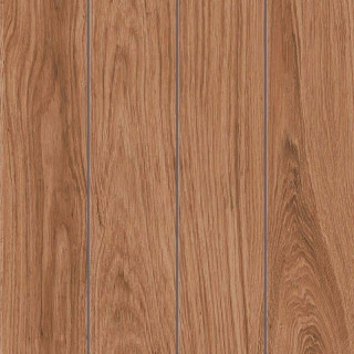 Lodge Brown 59,5x59,5