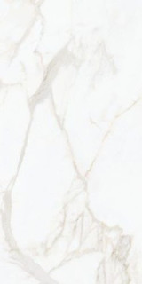 Nocturne White Gold FLPR 60х120