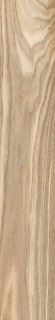 AGL Tiles Chinaberry Wood RT 20x120