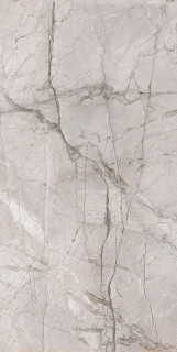 Alpas Cera Premium Marble Dragon Grey Silk 60x120