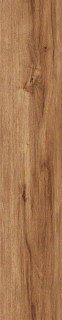 Arcadia Ceramica Akasa Wood Mahogany Rustic Wood 20x120H0.85