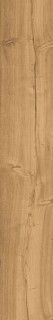 Aqlu Lyptus Honey 20x120