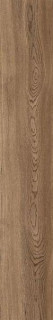 Aqlu Lyptus Coffe 20x120