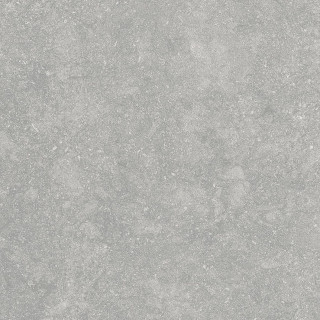 Alpas Cera Outdoor Fossil Gris 20mm 60x60