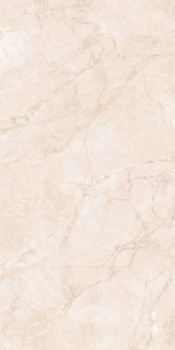 Arcadia Ceramica Arctic Pearl Carving 60x120H0.8