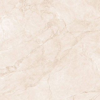 Arcadia Ceramica Arctic Pearl Carving 60x60H0.8
