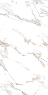Arcadia Ceramica Calacatta Gold Carving 60x120H0.8