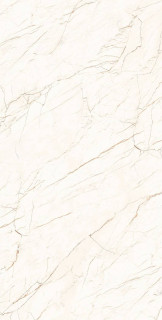 Arcadia Ceramica Ceasar Carving Lappato 60x120H0.8