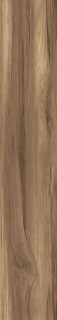 Arcadia Ceramica Fossil Wood Wenge Rustic Wood 20x120H0.85