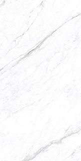 Arcadia Ceramica Coralina White Carving Pro 60x120H0.8