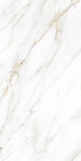 Arcadia Ceramica Selva Gold Carving Pro 60x120H0.8