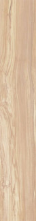 Arcadia Ceramica Pearsian Wood Ivory Carving 20x120H0.85