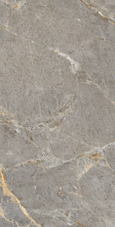 Arcadia Ceramica Royal Grey Matt Glossy Ink Punch 60x120H0.8
