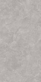 Arcadia Ceramica Oviedo Silver Solido 60x120H0.8