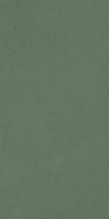 Art&Natura Ceramica Moderno Stucco Verde Matt 5.5mm 60x120
