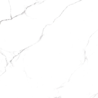 Arcadia Ceramica Statuario Fine Matt Rustic 60x60H0.8