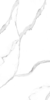 Artcer Marble Carrara Matt 9mm 60x120