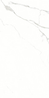 Artcer Marble Silver Shine 60x120