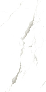 Artcer Marble Vena Fine Statuario 60x120