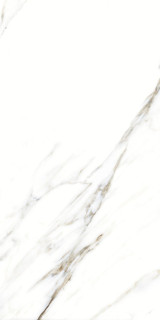 Artcer Marble Fantastic White 60x120