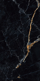Artcer Marble Czar Black 60x120