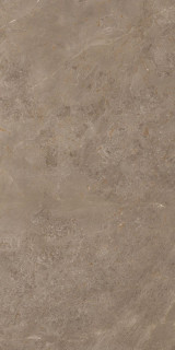 Artcer Stone Luish Brown 60x120