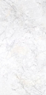 Casati Bianco Carrara Full Lappato 120x60
