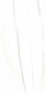 Casati Statuario Alaska 60x120
