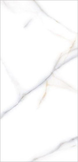 Casati Venato Bianco Full Lappato 120x60