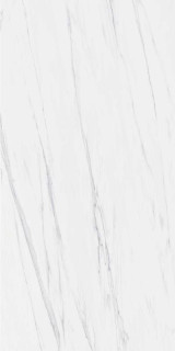 Casati Statuario Venato 60x120