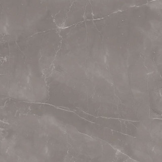 Colortile Armani Gris Satin 60x60H0.9