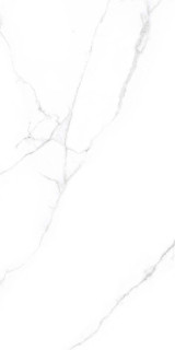 Ennface Arizona Carving 60x120H0.9