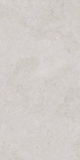 Ennface Castle Grey SCS Matt 60x120H0.9