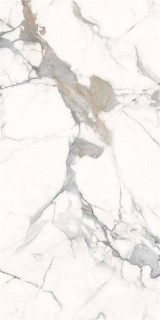 Eurotile Ind Vienna Calcutta Glossy 60x120