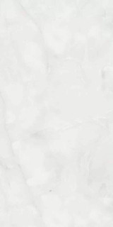 Eurotile Ind Antisky Grey Glossy 60x120
