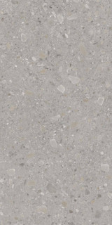 Exterior Ceramica Cheppo Di Grande Milagro 12mm 160x320H1.2