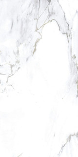 Flais Monster White 60x120