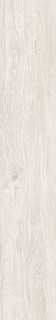 Gravita Caldera White 20x120