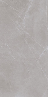 Gravita Atlas Grey Carving 60x120