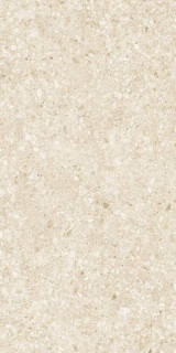 Gravita Aztech Zen Ivory Colorbody Matt 60x120H0.9