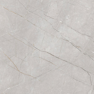 Gravita Larice Grey Carving 60x60
