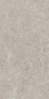 Gravita Seashell Natural R10 Carving 60x120